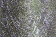 Withermarsh Green fibreglass roof work